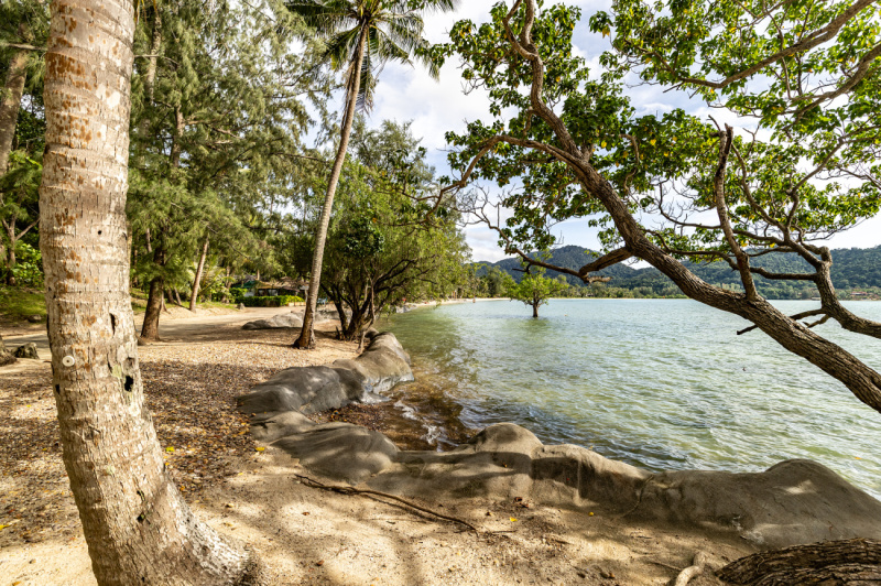 Luxury 4-Bedroom Pool Villa - ฿ 10.200.000